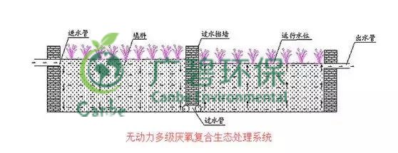 養豬場污水處理方法 養豬場廢水處理設備的應用(圖5) 養豬場污水處理方法 養豬場廢水處理設備的應用(圖5)