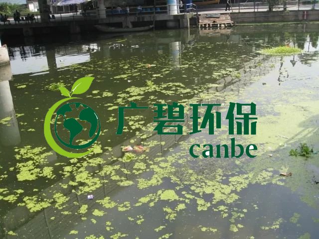 城市黑臭河道如何治理？河道黑臭水體治理思路(圖3)