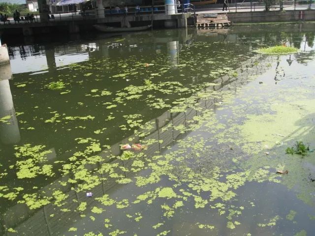城市黑臭河道如何治理？河道黑臭水體治理思路