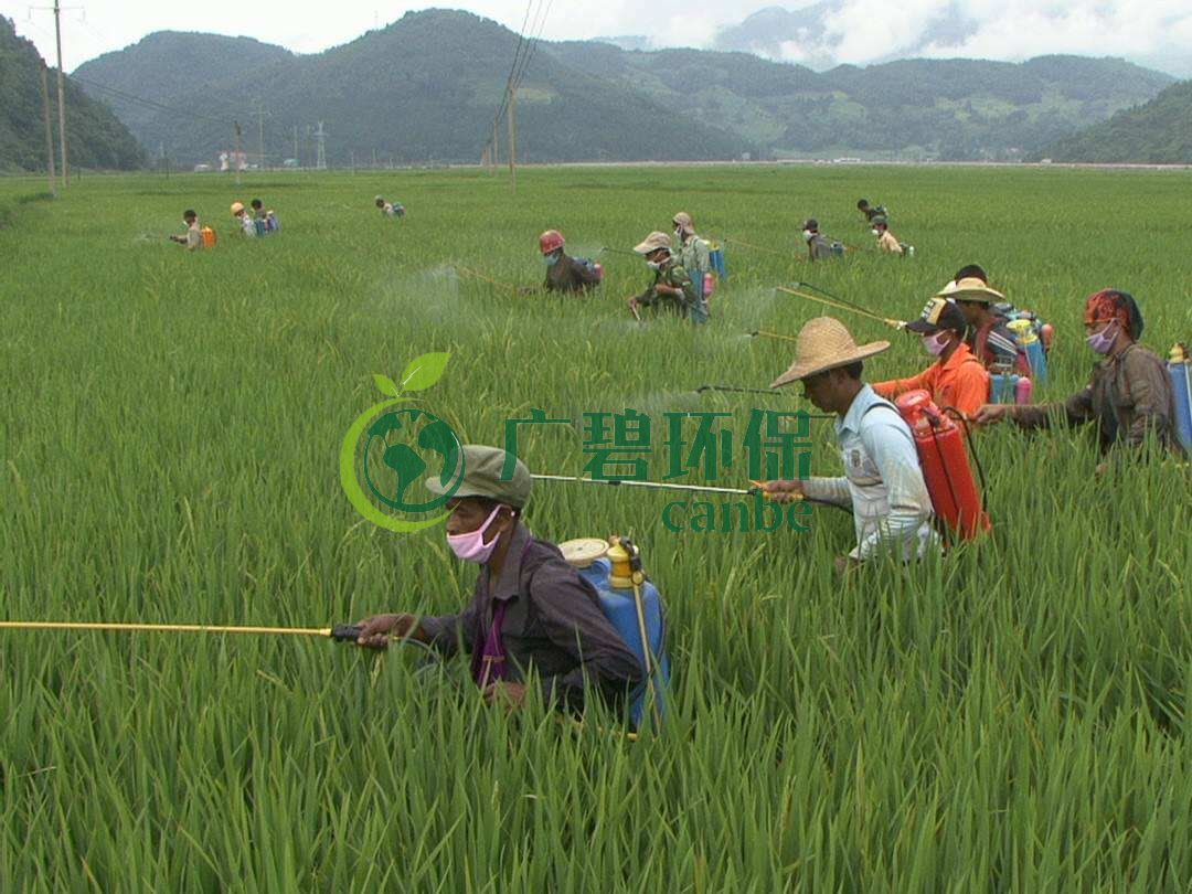 農藥廢水是什么？農藥廢水特點與處理工藝(圖1)