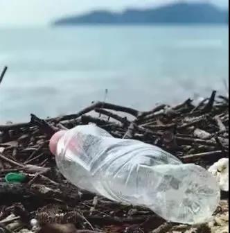 世界地球日|珍愛地球，人與自然和諧共生(圖8)