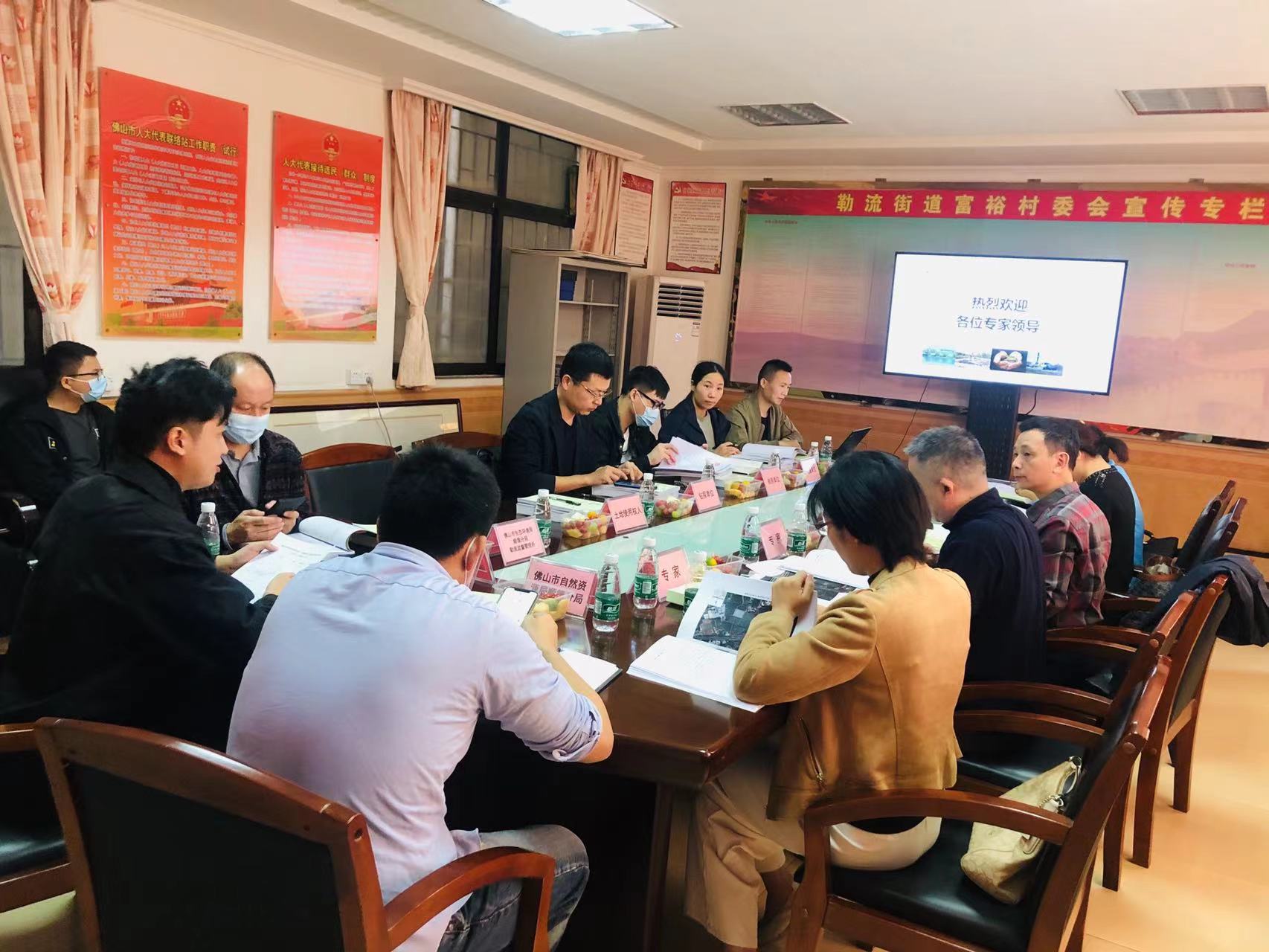 廣碧環保《勒流街道南國西路以南、龍海路以西地塊土壤污染狀況初步調查報告》通過專家評審會